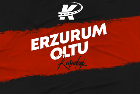 Oltu Evden Eve Nakliye